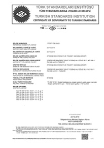 TSE 10130